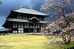 東大寺の春