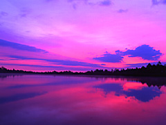 黎明の湖