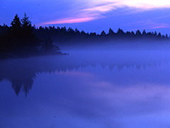 湖霧景